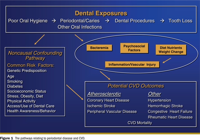 Dental Exposures