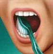 Gently brush the outside, inside and chewing surface of each tooth using short back-and-forth strokes