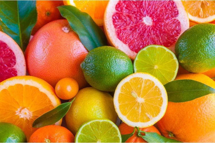 citrus-fruits-orange-lemon-grapefruit-mandarin
