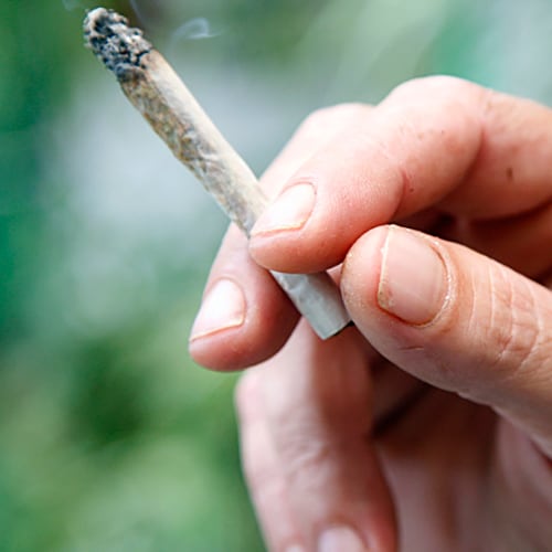 A hand holding a rolled cannabis cigarette