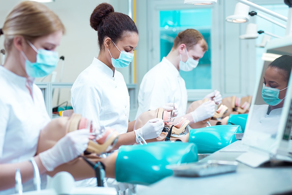 dentist students practicing  